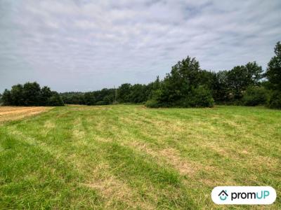 For sale Land MONS  31
