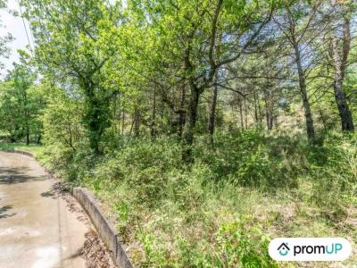 photo For sale Land ESTOUBLON 04