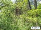 Acheter Terrain Estoublon 104000 euros