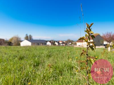 For sale Land COURBESSEAUX  54