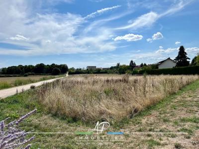 photo For sale Land TIL-CHATEL 21