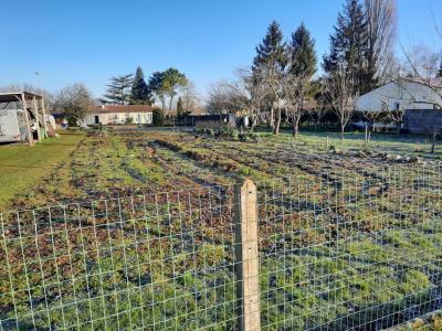 For sale Land ANNEPONT  17
