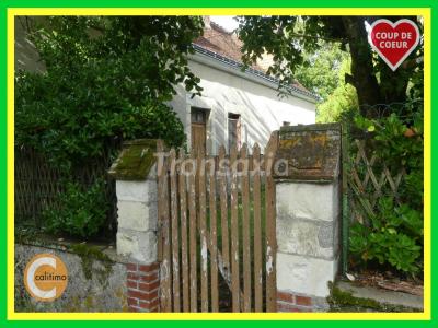 photo For sale House LANGEAIS 37