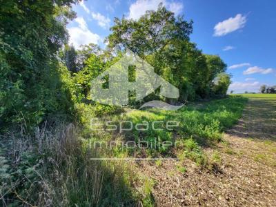 photo For sale Land AIGREFEUILLE-D'AUNIS 17