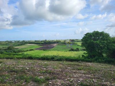 For sale Land MOULE  971