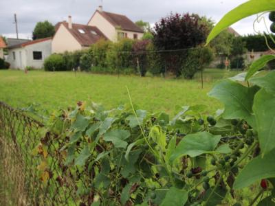 photo For sale Land CHATELLERAULT 86