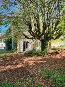 For sale Prestigious house SOLIGNAC  87