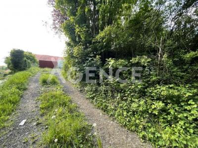 photo For sale Land SAINT-MARTIN-D'HARDINGHEM 62