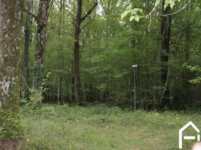 For sale Forested aera MERRY-LA-VALLEE  89