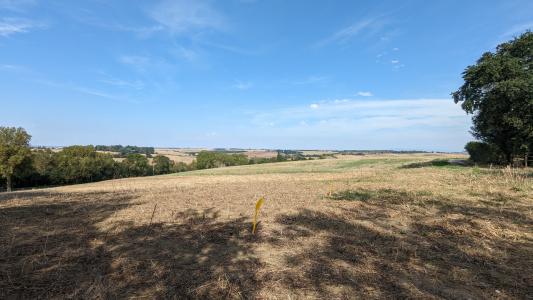 photo For sale Land NAILLOUX 31