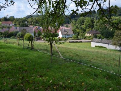 photo For sale House FOUGEROLLES 70