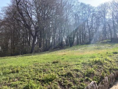 photo For sale Land BEAUMONT-SUR-VESLE 51