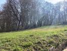 For sale Land Beaumont-sur-vesle  51360 1100 m2