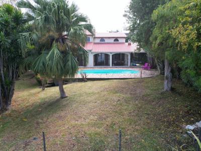 photo For sale House RAVINE-DES-CABRIS 974