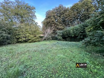 photo For sale Land MOUCHAMPS 85