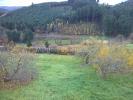 Acheter Terrain Lamure-sur-azergues 69000 euros