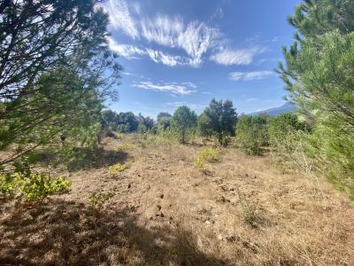 For sale Land FIGARI  20