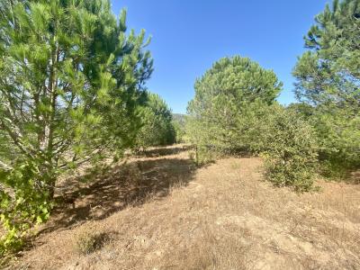 photo For sale Land FIGARI 20