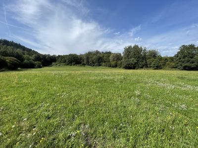 For sale Land SAINT-NABORD  88