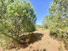 Annonce Vente Terrain Figari