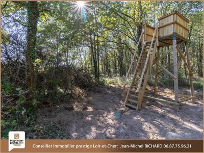 photo For sale Land COURMEMIN 41