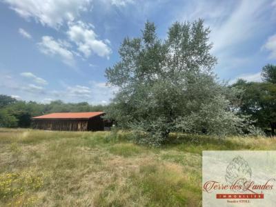 Vente Maison TRENSACQ 