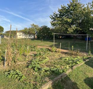 For sale Land TERNAY  69