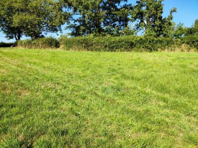 photo For sale Land CLUNY 71