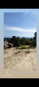 Vente Terrain CHATEAUNEUF-DE-GADAGNE 84470