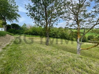 For sale Land NAILLOUX  31