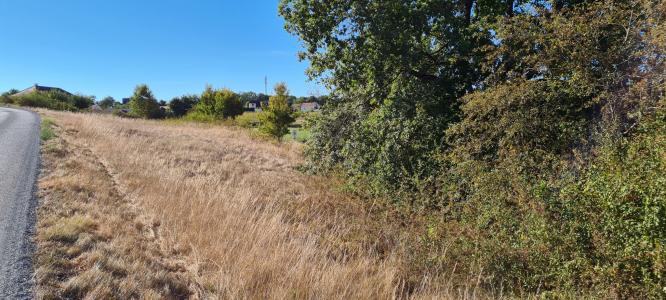 Vente Terrain JUGEALS-NAZARETH 19500