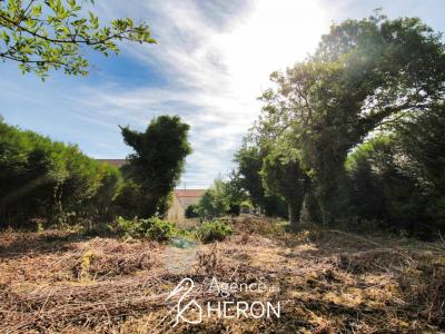 photo For sale Land VOULX 77