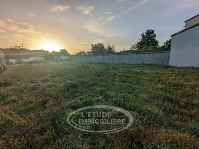 Vente Terrain CHATEAU-THEBAUD 44690