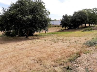 For sale Land VIHIERS  49