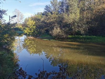 photo For sale House ROMORANTIN-LANTHENAY 41