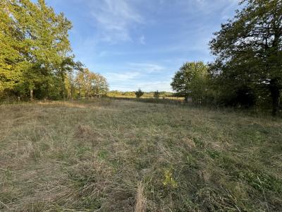 For sale Land SUGERES  63