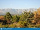 Acheter Terrain Saint-maximin-la-sainte-baume 228000 euros