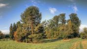 For sale Land Betheniville  51490 600 m2