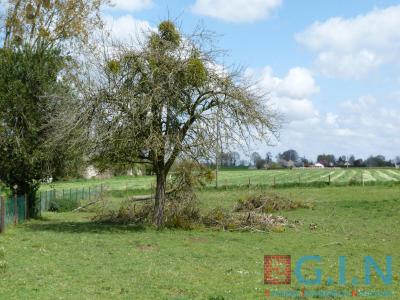 photo For sale Land DUCLAIR 76