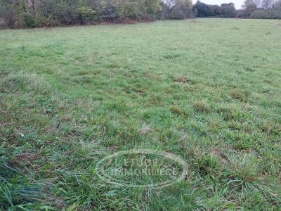 photo For sale Land SAINTE-PAZANNE 44