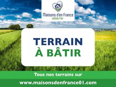 For sale Land CERTINES  01
