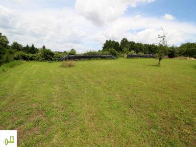 For sale Land CHATILLON-COLIGNY  45
