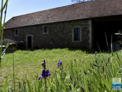 For sale House CONQUES  12