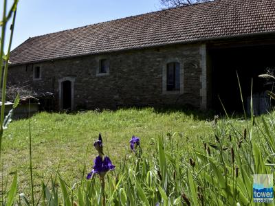 Vente Maison CONQUES 12320