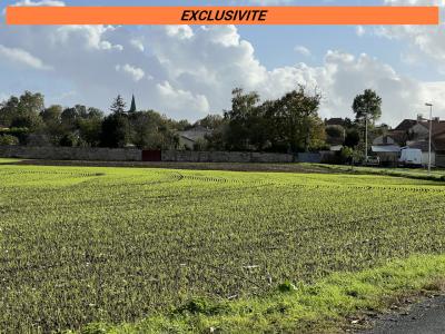 photo For sale Land LOULAY 17
