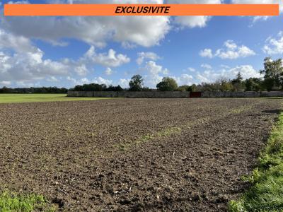 For sale Land LOULAY LOULAY 17