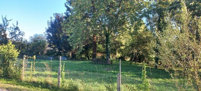 For sale Land SACEY  50