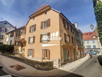 Vente Appartement 3 pices DELLE 90100