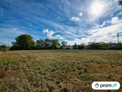 Vente Terrain CINTEGABELLE 31550