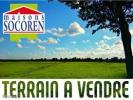 For sale Land Mortree  61570 1050 m2